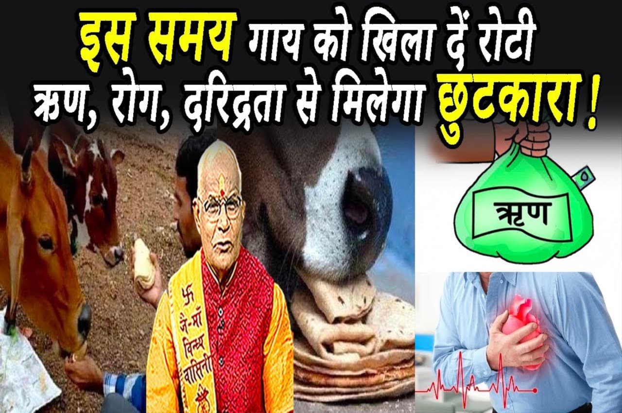 Roti Ke Upay: इस खास मुहूर्त पर गाय को खिला दें रोटी..कर्जे, रोग, दरिद्रता से तुरंत मिलेगा छुटकारा !