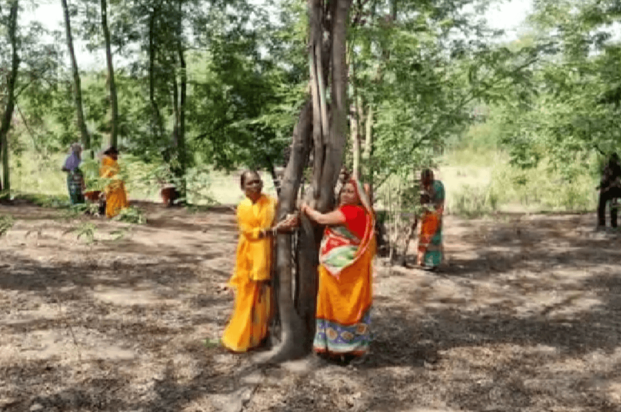 झारखंड में पर्यावरण प्रेमियों का अनोखा विरोध, कटने से बचाने के लिए पेड़ों से चिपक गई महिलाएं और बच्चे