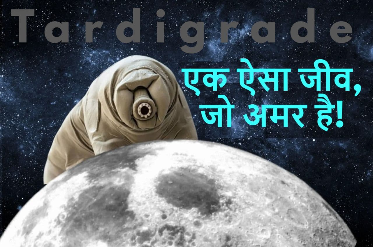 Science News: टार्डिग्रेड एक ऐसा जीव, जो अमर है; 1773 में हुई थी इसकी खोज