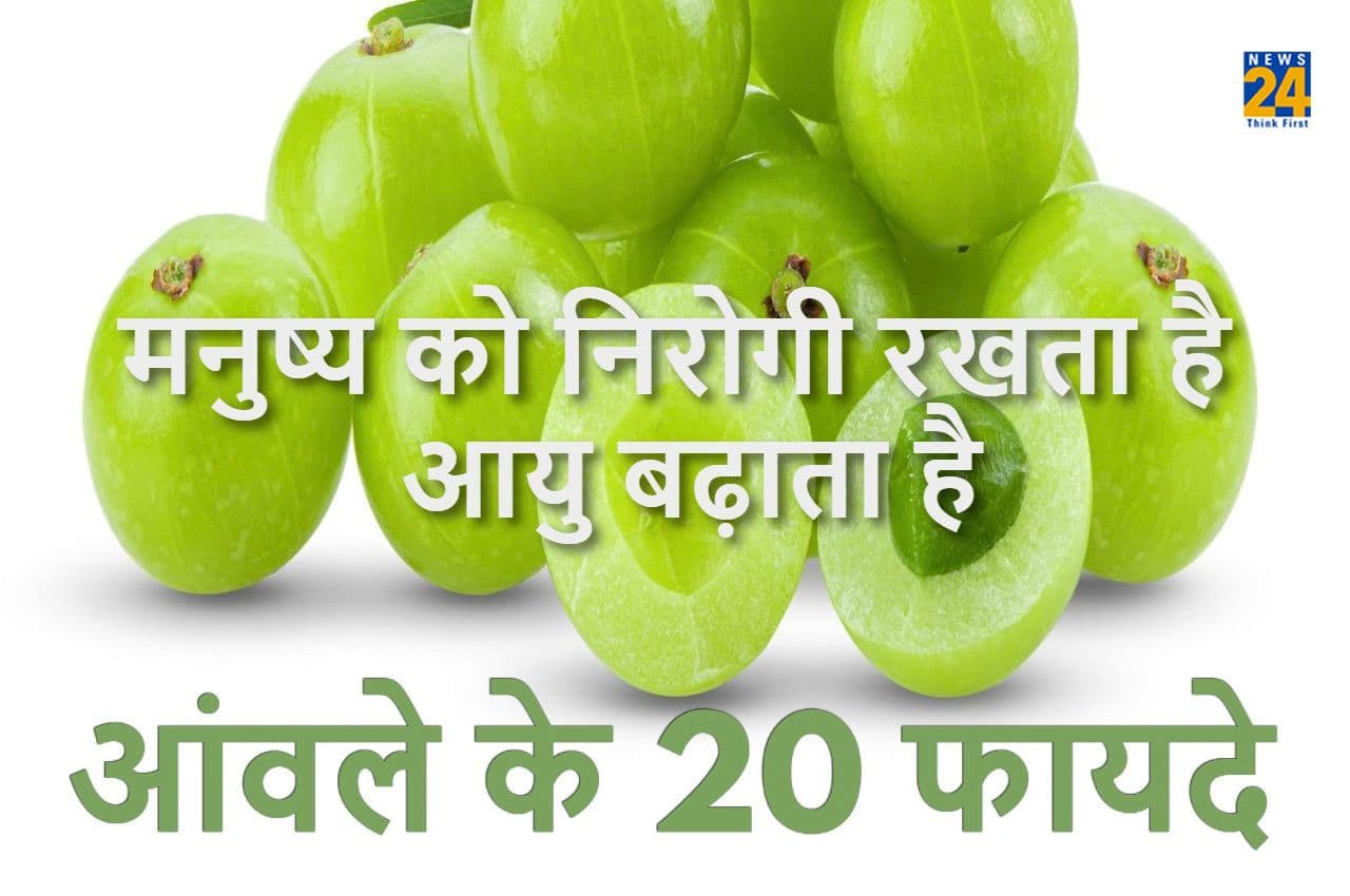 Benefits of Amla: मनुष्य को निरोगी रखता है और आयु बढ़ाता है आंवला, जानिए इसके 20 फायदे