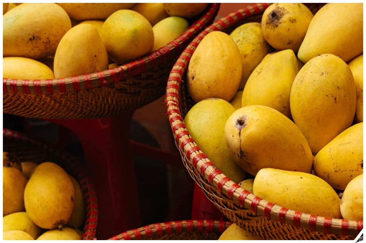 Benefits of mangoes: गर्मियों में आम खाने से दूर होंगी ये समस्याएं, जानिए चमत्कारिक फायदे