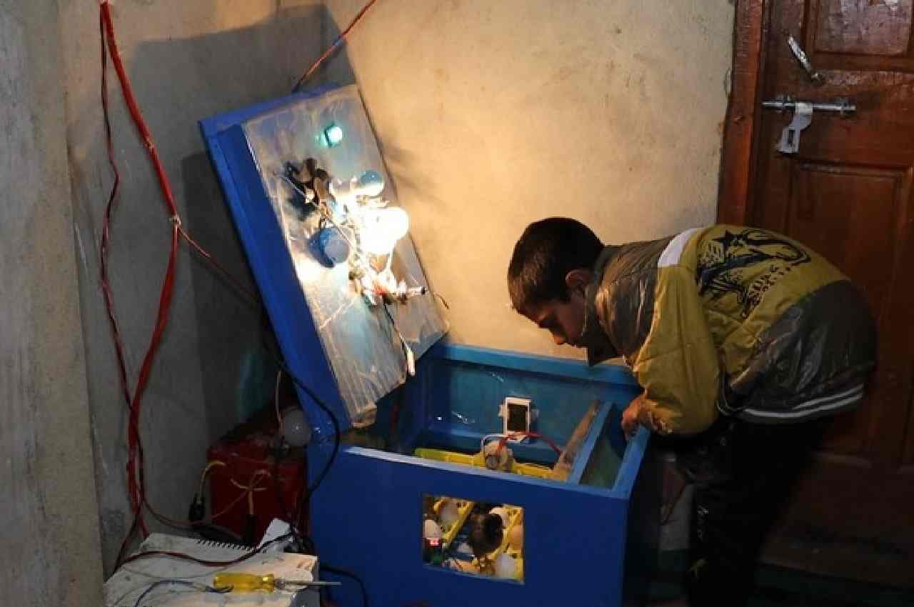 jammu kashmir, low cost egg incubator, Momin Ishaq