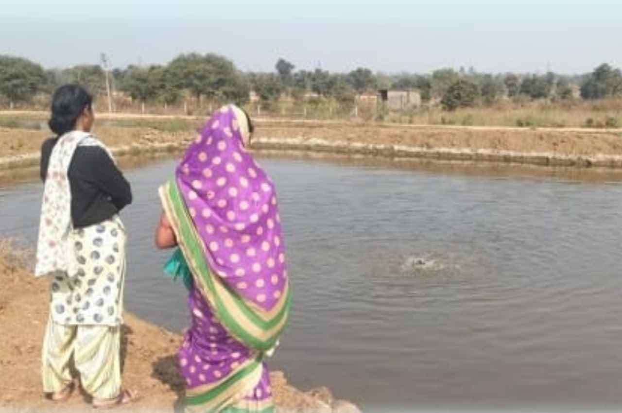 बिलासपुर: मनरेगा ने संवारी जिले के किसानों की भविष्य, बहतराई के किसान गंगा राम को मिला अपना स्वरोजगार