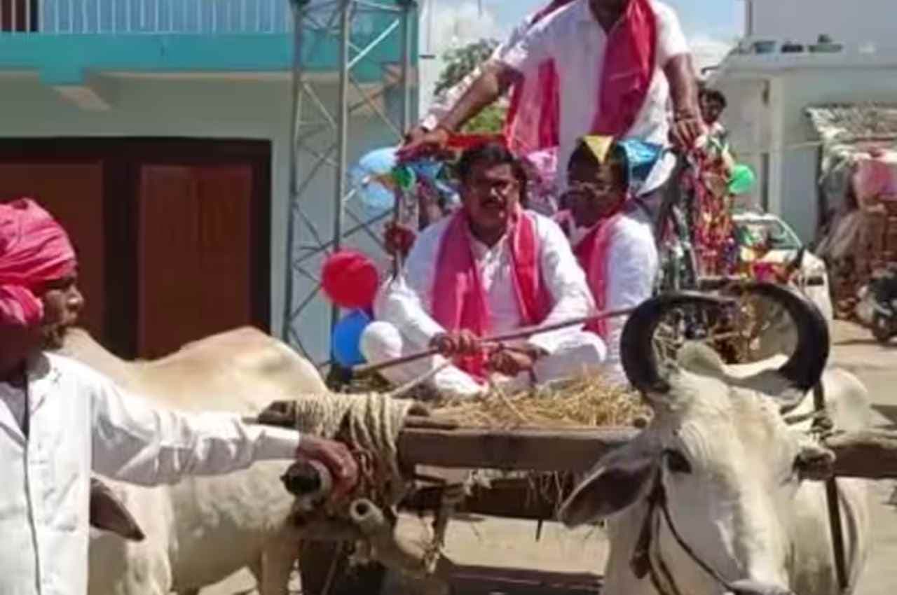 Chhattisgarh: बैलगाड़ी से निकली बारात, बीजेपी सांसद चुन्नी लाल साहू ने हांके बैल