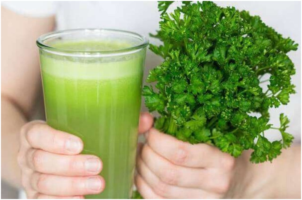 Coriander Juice Recipe: इस जूस से स्वाद के साथ बन जाएगी सेहत, जानें आसान विधि