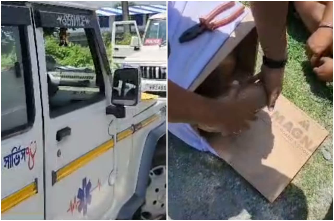 Kolkata News: बंगाल में STF ने खोला ताबूत तो फटी रह गई आंखें, महिला समेत चार लोग गिरफ्तार, जानें पूरा मामला