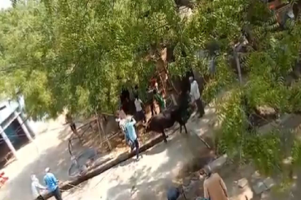 मुरैना में जमीनी विवाद में चली गोलियां, 3 महिलाओं सहित एक ही परिवार के 6 लोगों की मौत