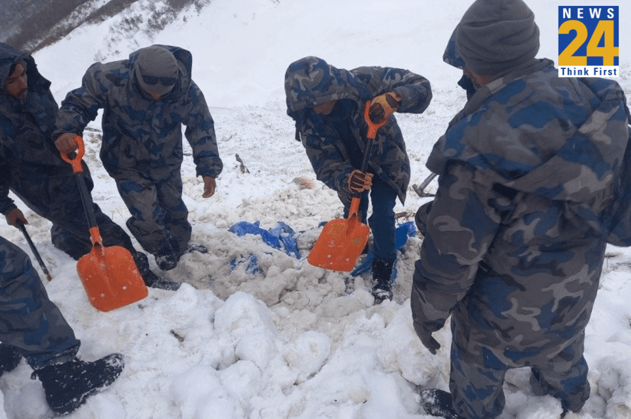 Nepal Avalanche Nepal Avalanche, Darchula Disctrict, Yarsagumba