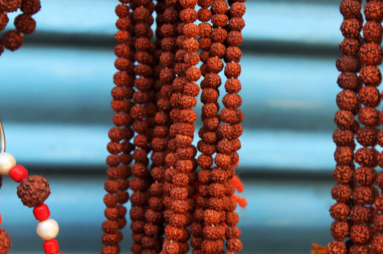 Dharma Karma: रुद्राक्ष धारण करते समय ध्यान रखें ये बातें नहीं तो पछताना पड़ सकता है