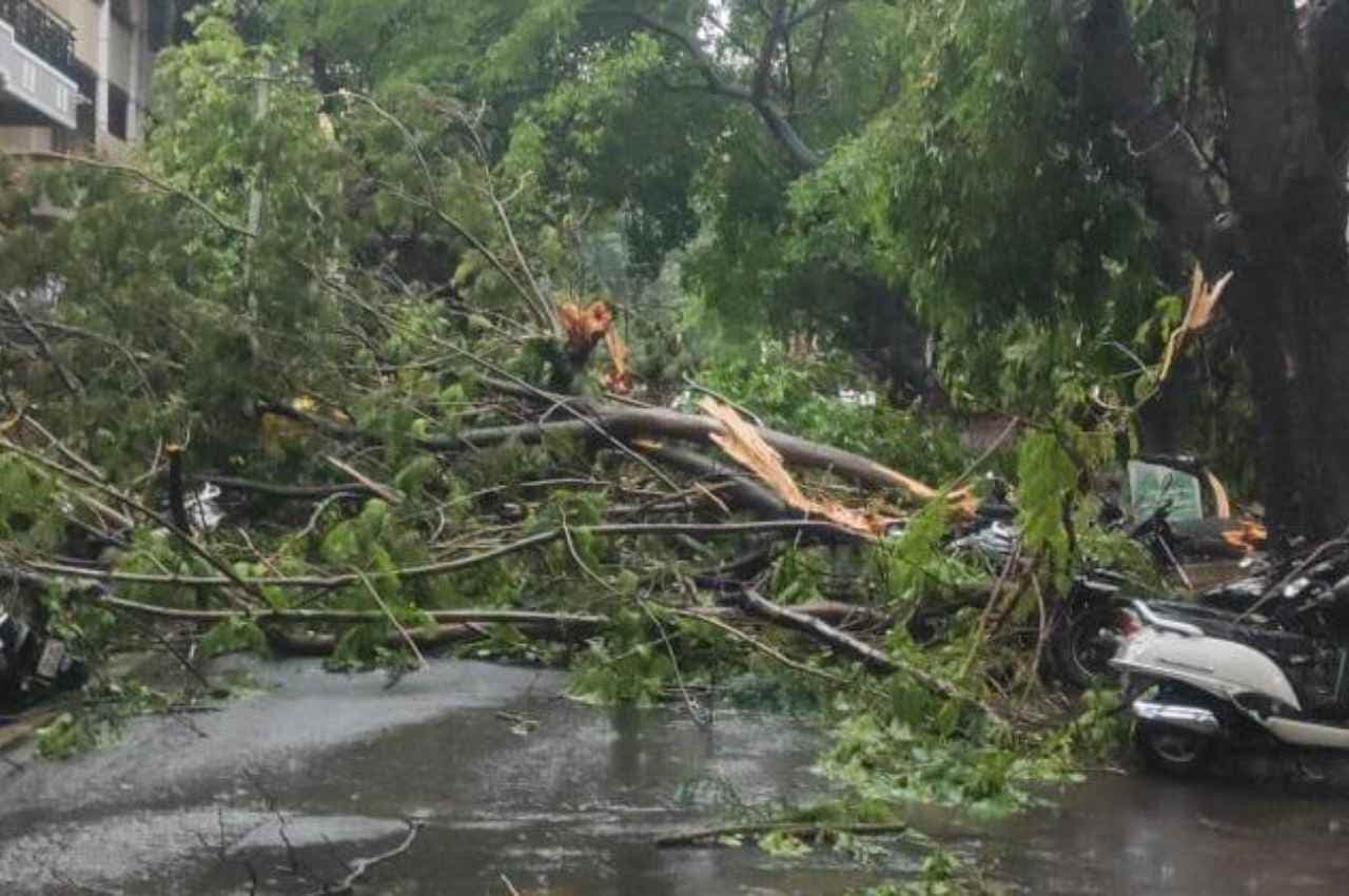 बेंगलुरु में भारी बारिश से उखड़े पेड़, अंडरपास पानी से लबालब, कई इलाकों में पड़े ओले