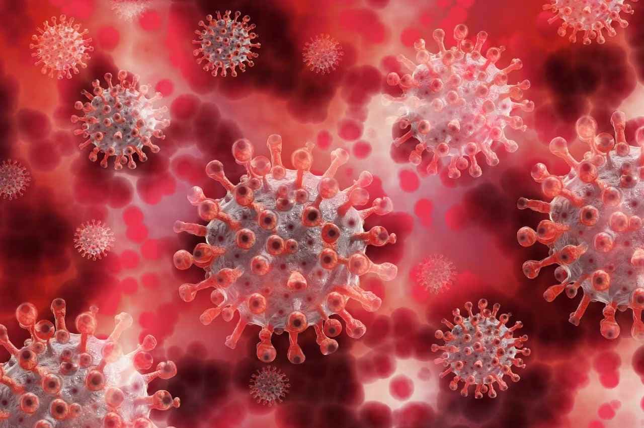 India Corona Update, Corona Cases in India, Corona Update, Coronavirus, Coronavirus Update, Covid, Covid 19 India Corona Update, Corona Cases in India, Corona Update, Coronavirus, Coronavirus Update, Covid, Covid 19