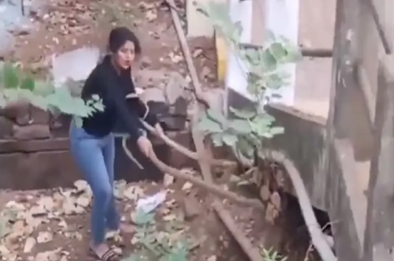 खतरनाक! दो बड़े कोबरा के बीच कूद गई निडर लड़की, आगे क्या हुआ? देखें Video