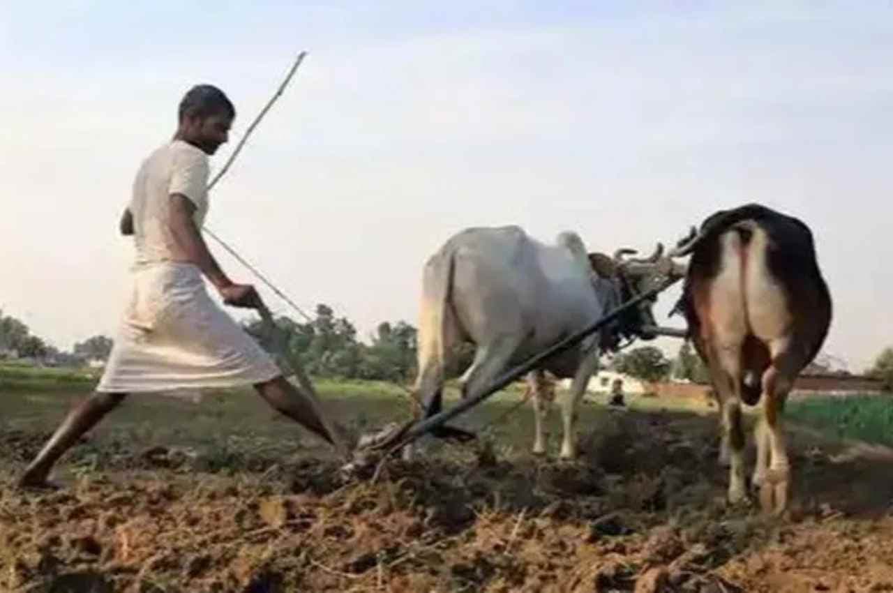 किसानों को 2447 करोड़ रूपए से अधिक का कृषि ऋण किया गया वितरित