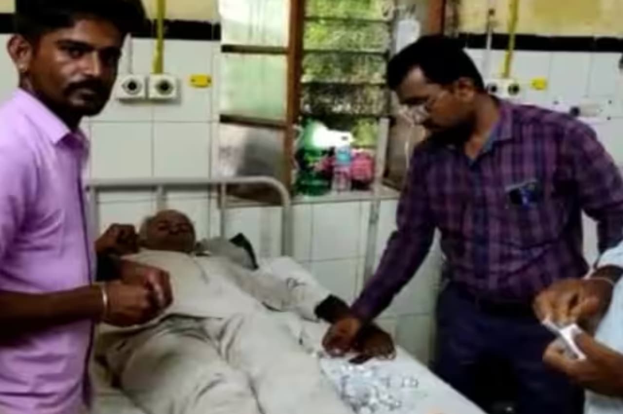 Barmer: चौहटन में 19 लोगों को सांप ने बनाया शिकार, इलाज के बाद 12 डिस्चार्ज
