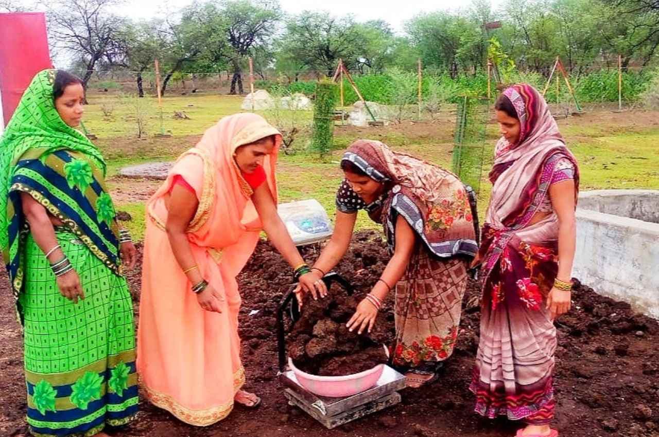 रायपुर: कृषि विभाग ने जारी की गोबर खरीदी की रैंकिंग, जानिए किस जिले को मिला पहला स्थान