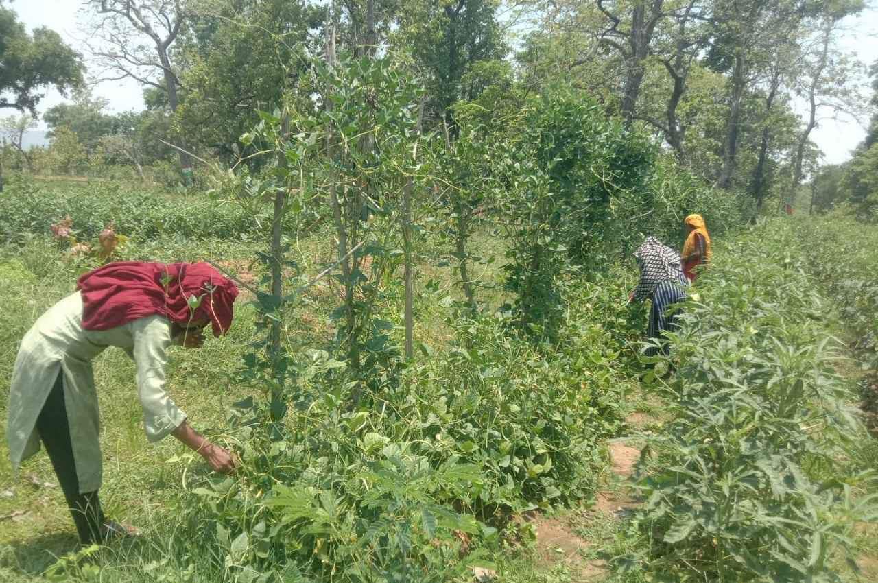 बीजापुर: मुख्यमंत्री सुपोषण अभियान से मिल रहा बेहतर परिणाम, कुपोषण एवं एनीमिया से मिल रहा लागों को आराम
