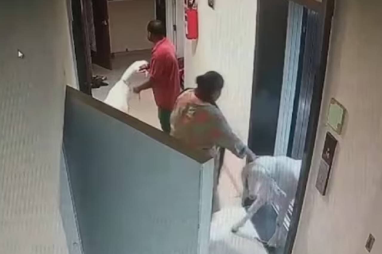 Mumbai: कुर्बानी के लिए शख्स घर लेकर आया बकरा; सोसाइटी के लोगों ने किया विरोध, पढ़ने लगे हनुमान चालीसा