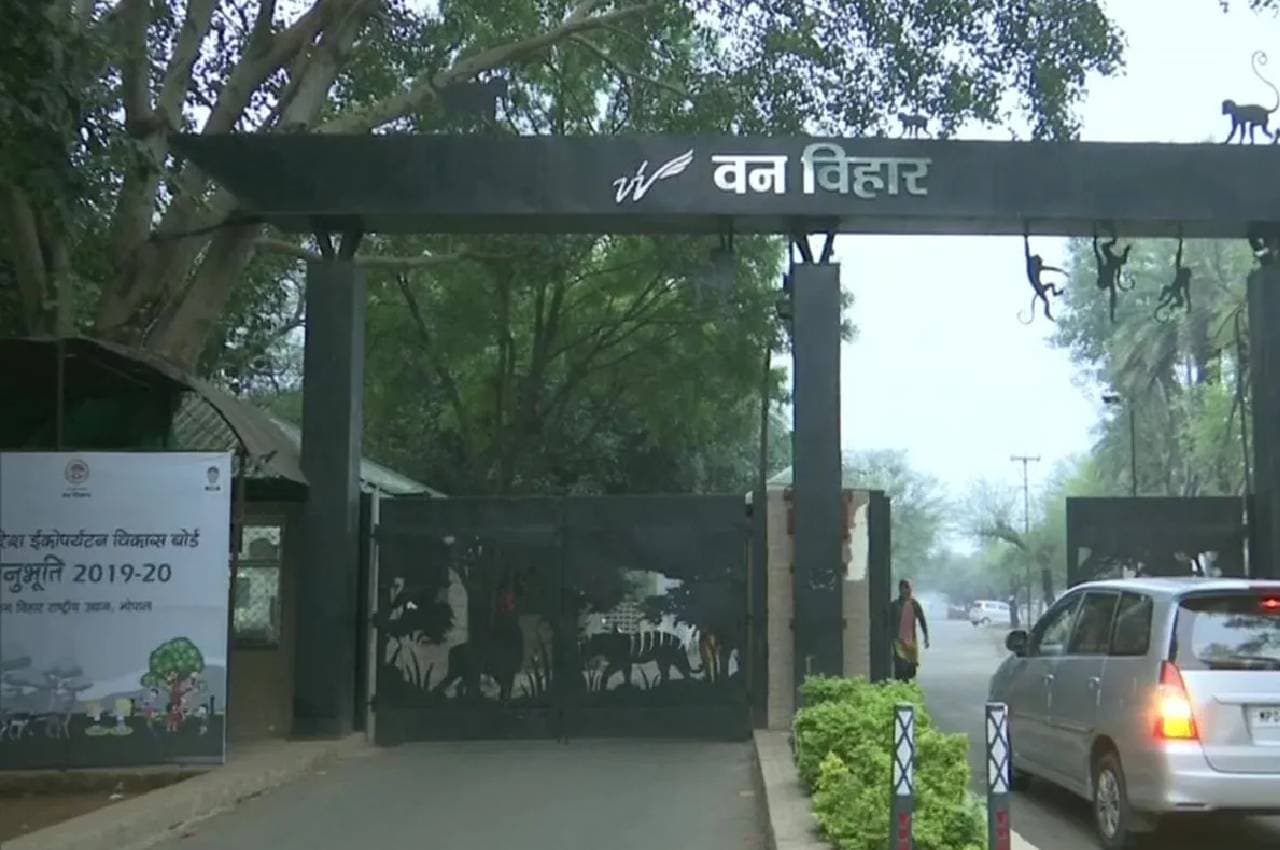 भोपाल के वन विहार में हुई जानवरों की गिनती, सांभर-घड़ियाल हो गए कम, इनकी संख्या बढ़ी