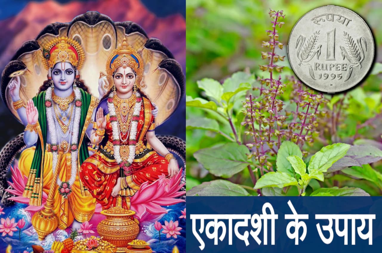 एकादशी पर करेंगे ये उपाय तो मां लक्ष्मी देंगी धन-वैभव का आशीर्वाद
