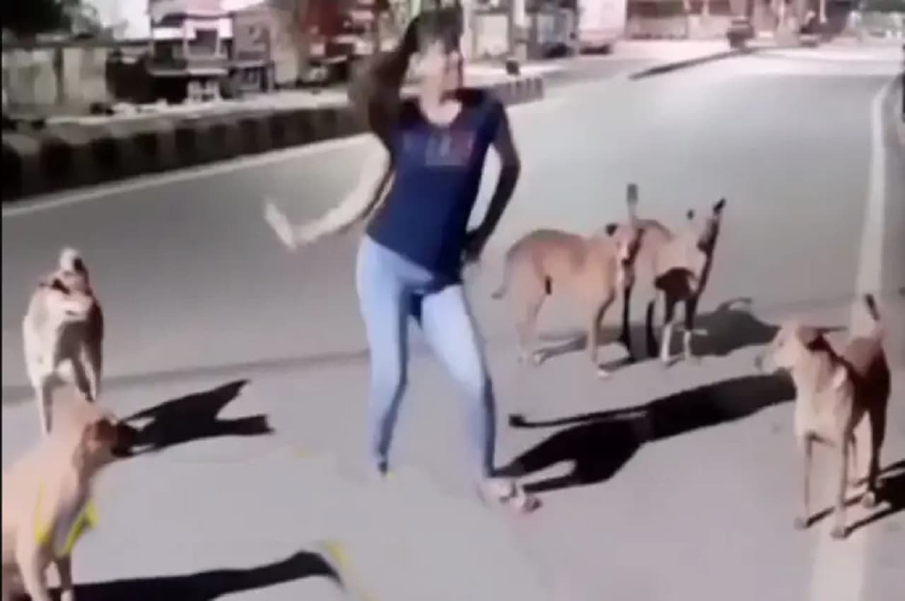 Viral Video: 'Kutto' के सामने 'Basanti' ने किया डांस, कुत्तों के झुंड ने लिया परफॉर्मेंस का मजा