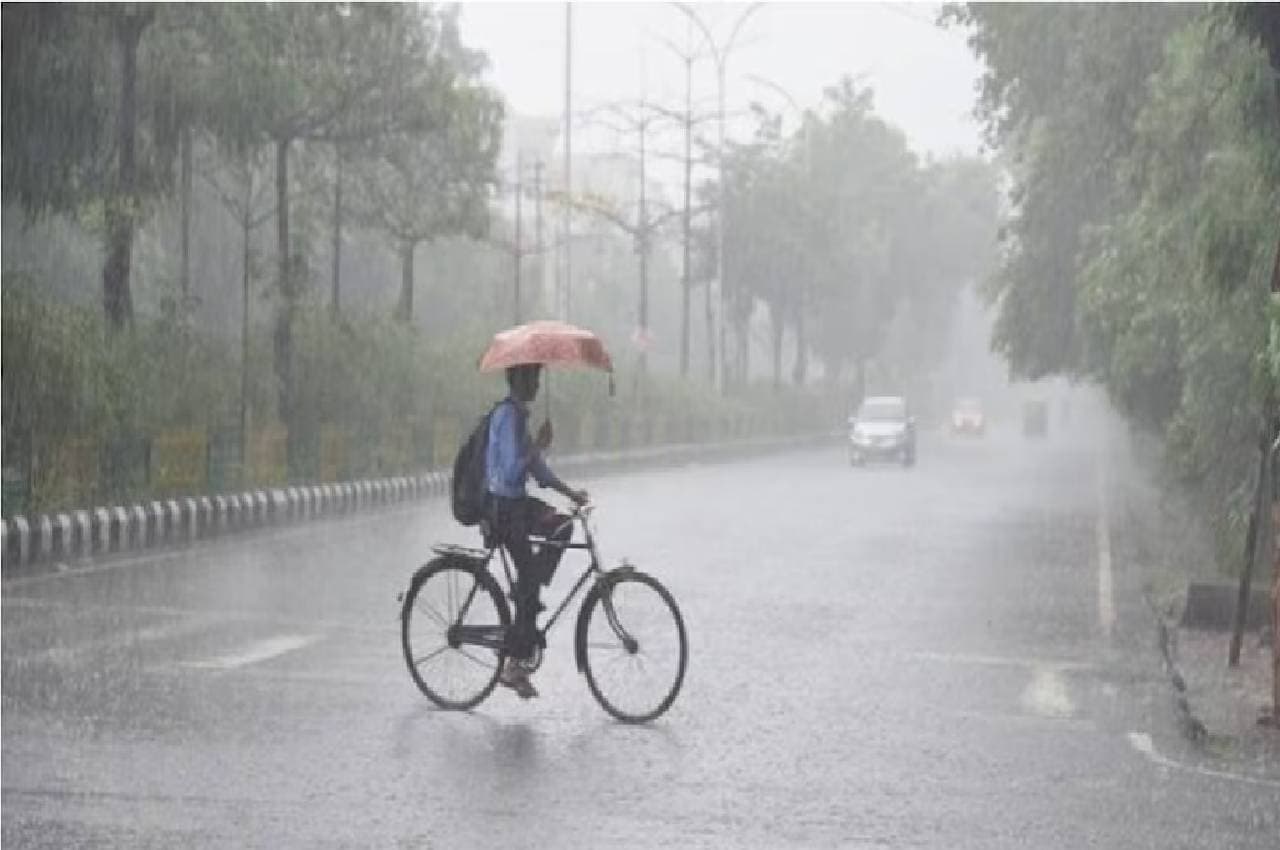 MP में मानसून की एंट्री, कई जिलों में झमाझम बारिश की संभावना, मंडला से हुई शुरुआत