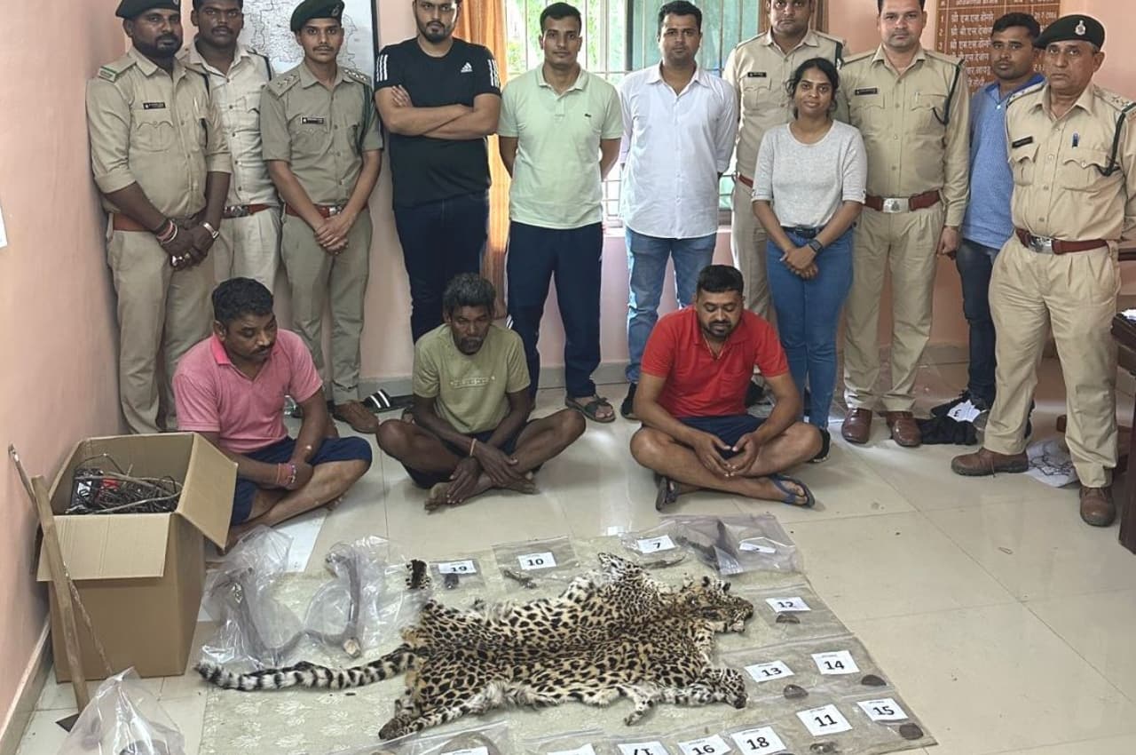 रायपुर: वन विभाग को मिली बड़ी कामयाबी, बाघ तस्कर गिरोह को दबोचा, अभी तक 39 आरोपियों को भेजा गया जेल