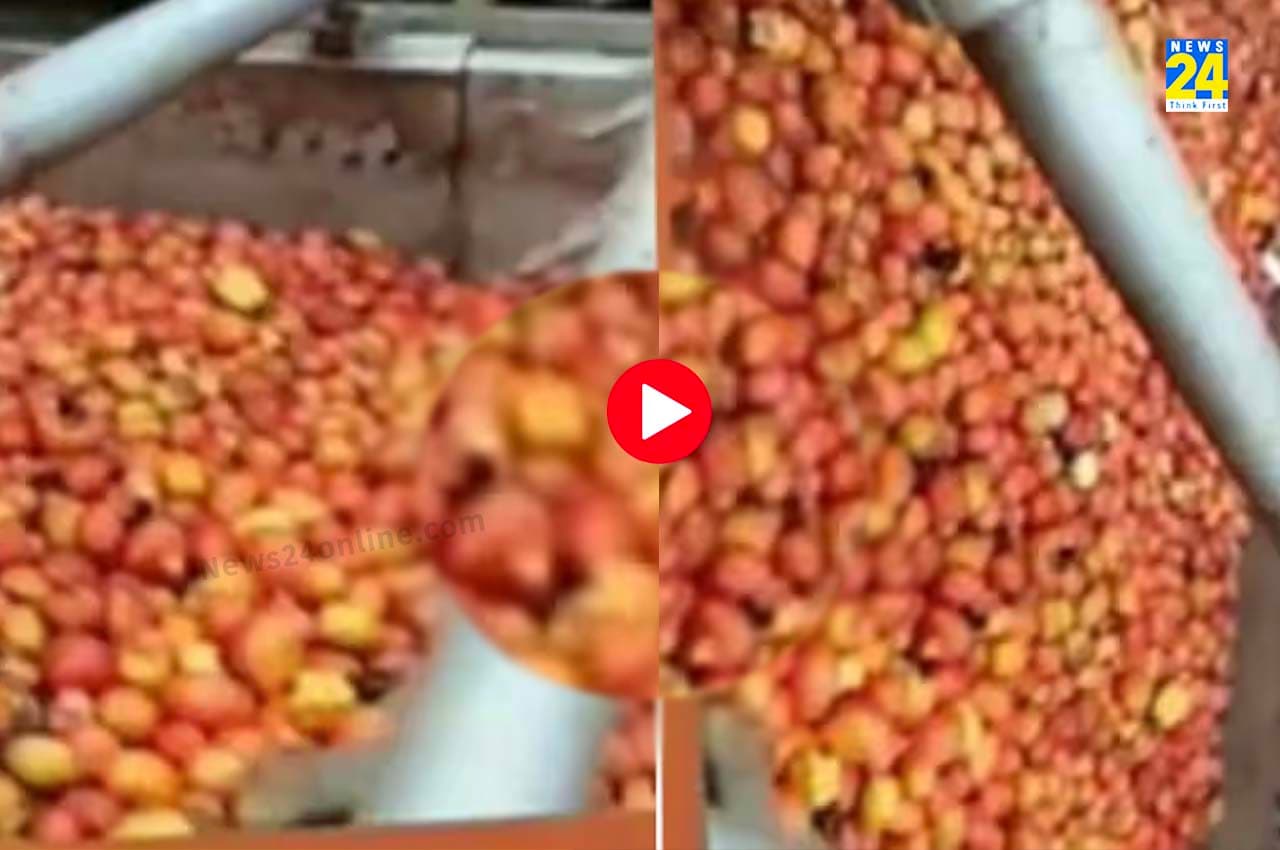 Tomato Viral Video Tomato Viral Video