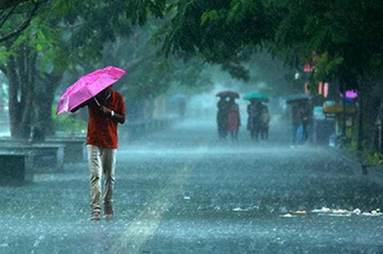 Monsoon Live Updates: दिल्ली में अगले 2 दिन तेज बारिश की संभावना, हिमाचल में रेड अलर्ट; जानें अन्य राज्यों के हाल