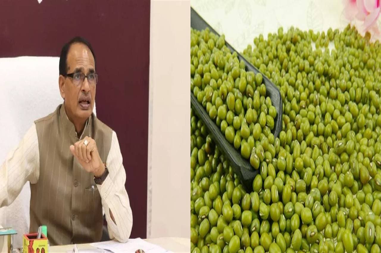 मध्य प्रदेश के किसानों के लिए जरूरी खबर, मूंग खरीदी पर शिवराज सरकार ने लिया बड़ा फैसला, जानिए