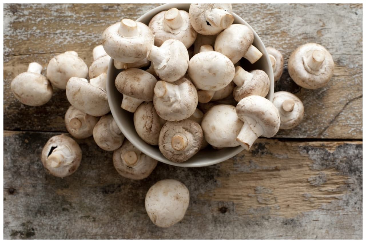 Mushroom For Weight Loss: नहीं घट रहा वजन तो डाइट में मशरूम को इस तरह करें शामिल, मिलेगा गजब का फायदा