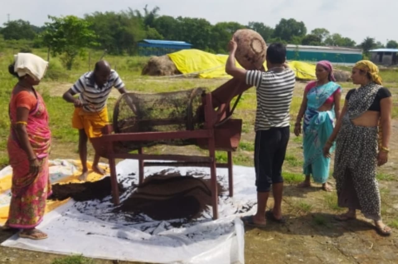 रायपुर: तिलई गौठान ने खोला महिलाओं की तरक्की का रास्ता, मिल रहा अच्छा मुनाफा