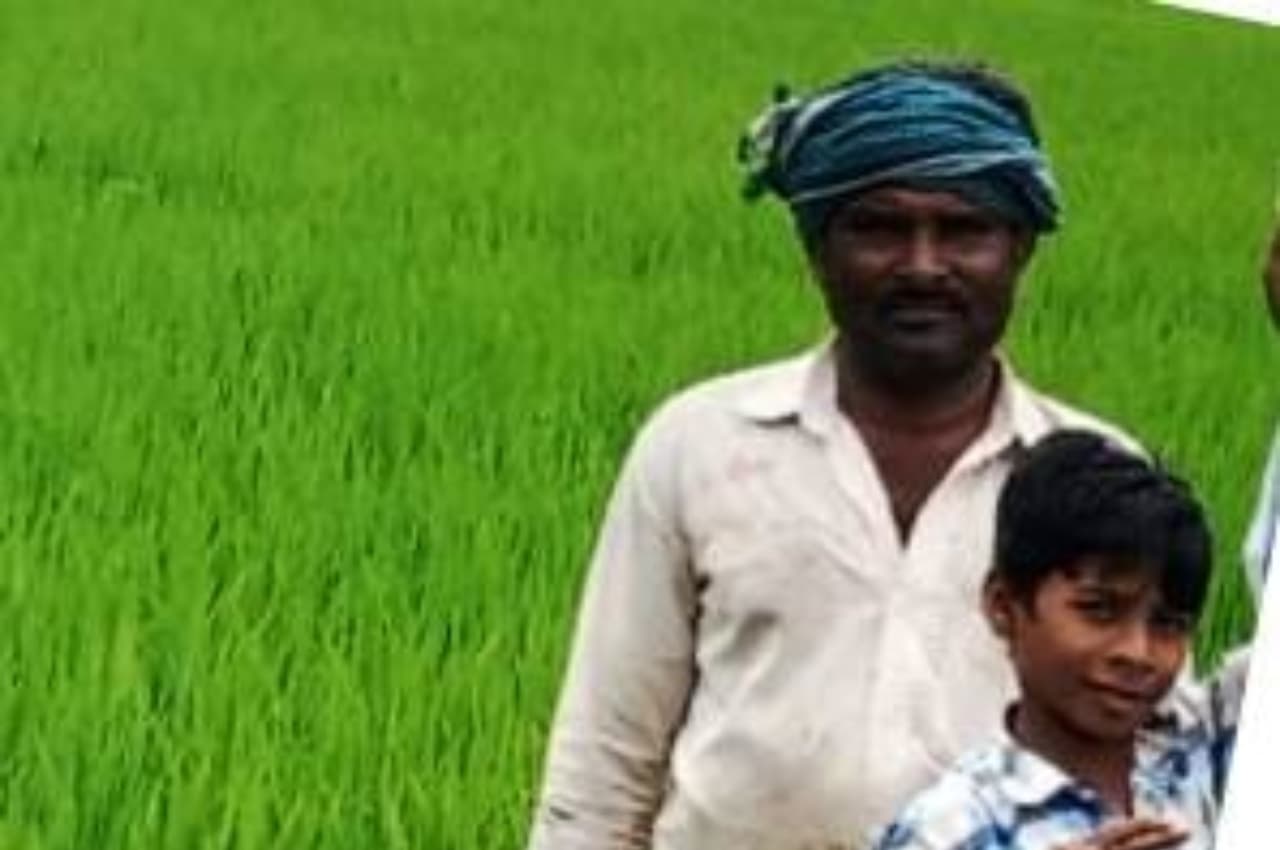 राजीव गांधी किसान न्याय योजना से बदली धनीराम की किस्मत, योजना का लाभ उठा लिया एक जोड़ी बैल