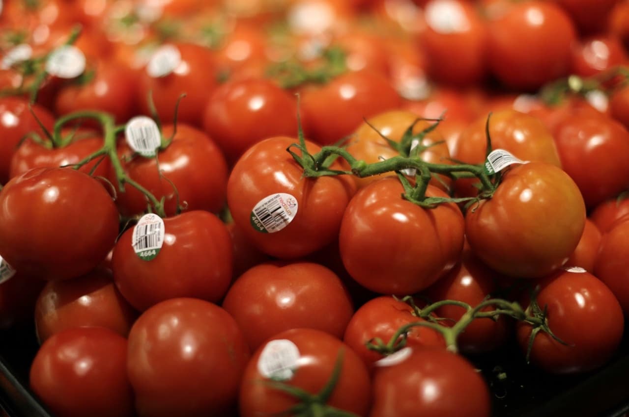 Tomato Today Price: टमाटर की कीमत में वृद्धि से आम आदमी परेशान, जानें- दिल्ली, मुंबई से लेकर कानपुर, बेंगलुरु तक के दाम