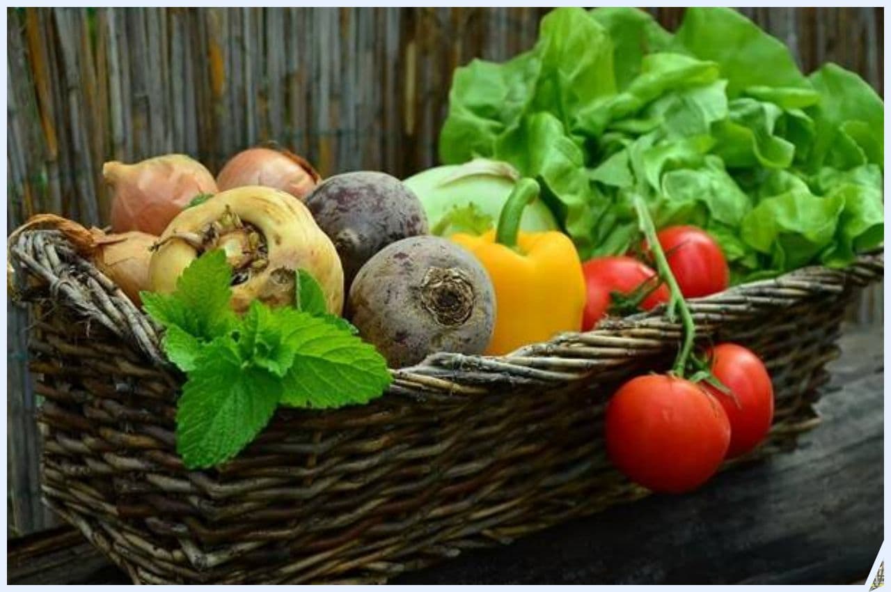 Health News: सावन महीने में भूलकर भी नहीं खाना चाहिए ये 5 चीजें, वरना झेलने पड़ेंगे नुकसान