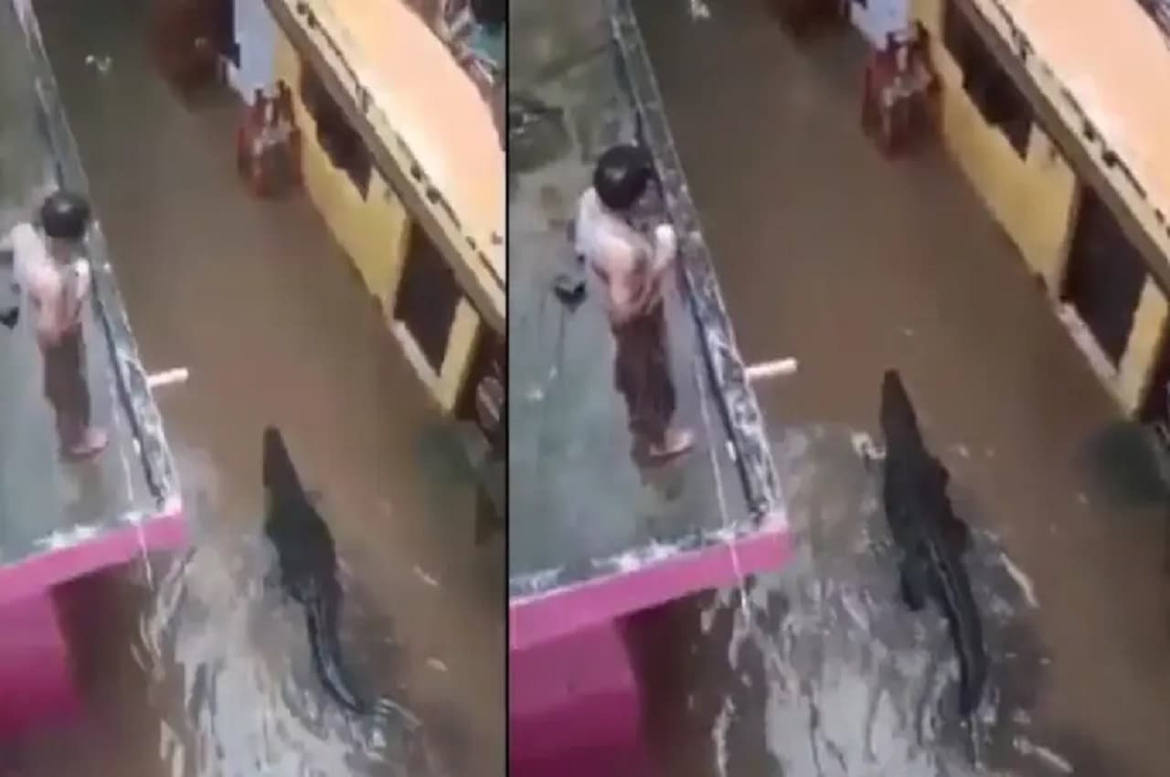Viral Video: पानी से भरी सड़कों पर दिखा विशाल मगरमच्छ, लोगों में भरा खौफ