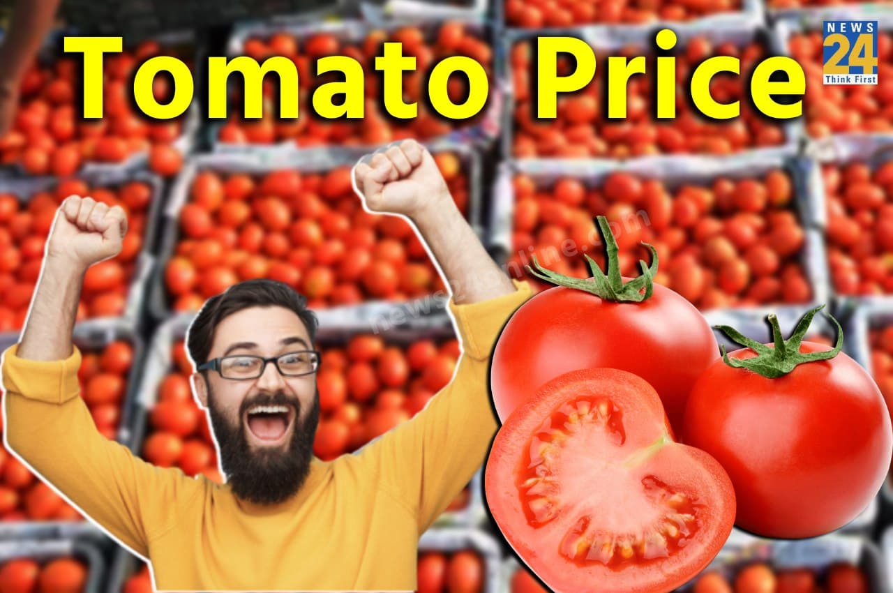 Tomato Price Update: खुशखबरी! अब आपके घर के पास ही मिलेगा सस्ता टमाटर, भाव सुनकर उछल पड़ेंगे