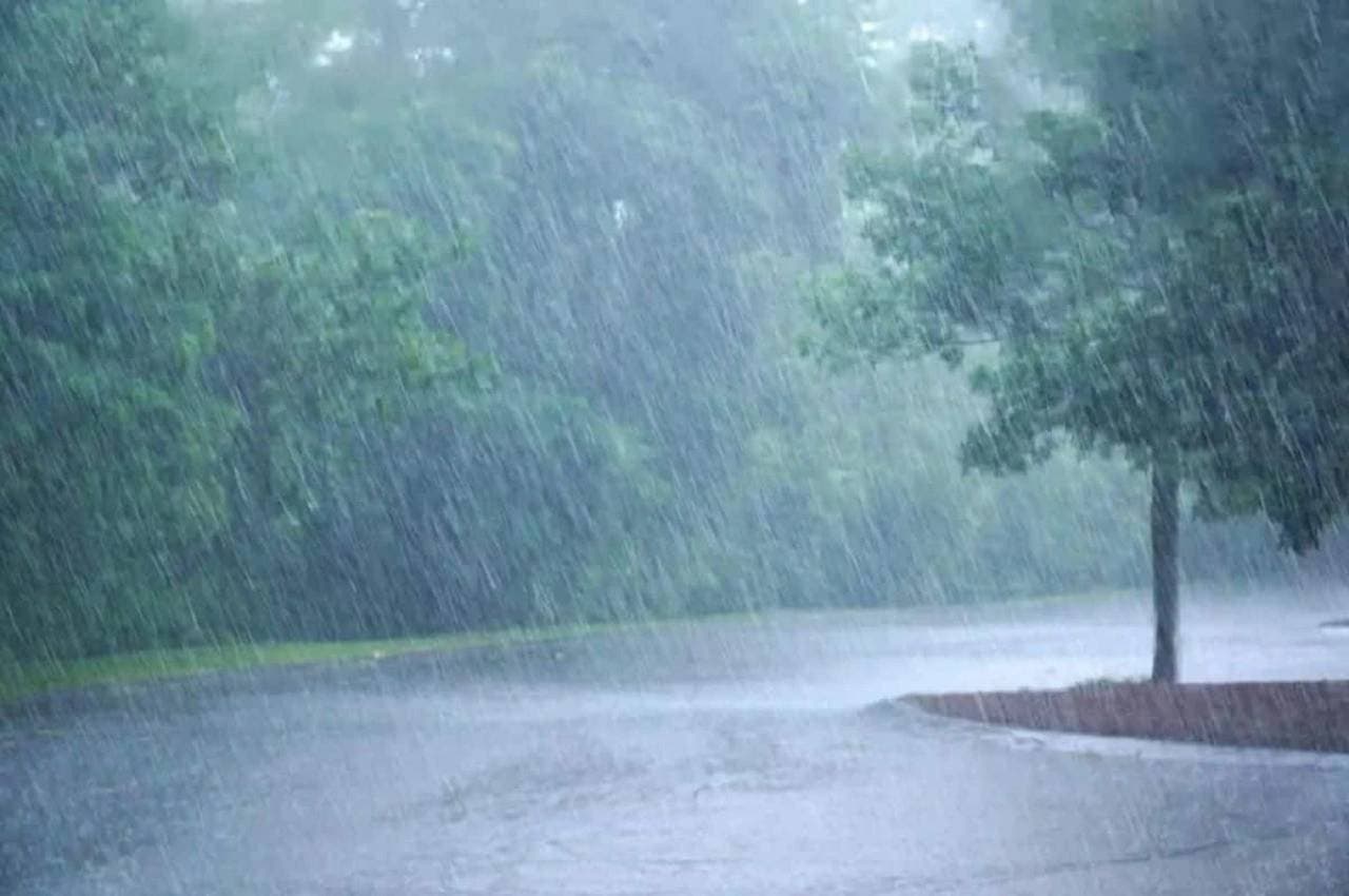 मध्य प्रदेश के इन जिलों में भारी बारिश की चेतावनी, 24 घंटे रहेगी रेनफॉल एक्टिविटी, अलर्ट जारी