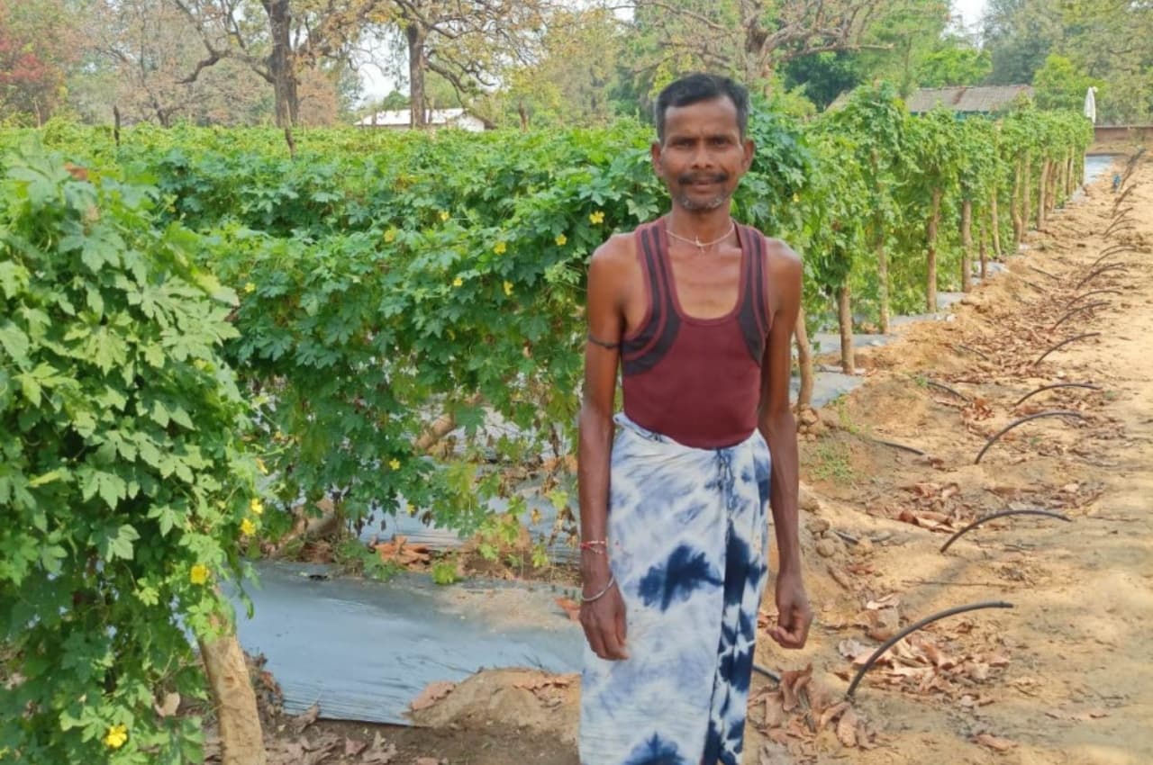 सफलता की कहनी: सिंचाई की आधुनिक तकनीक से धनीराम को मिल रहा लाभ, सब्जी से 1 लाख 50 हजार की हुई कमाई