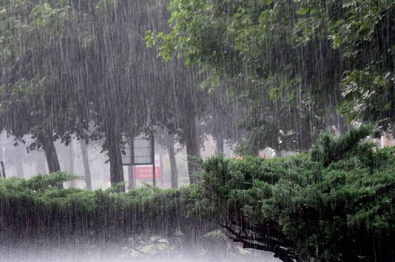 MP में भारी बारिश की चेतावनी, इन जिलों में होगी झमाझम बरसात, नर्मदा नदी उफान पर