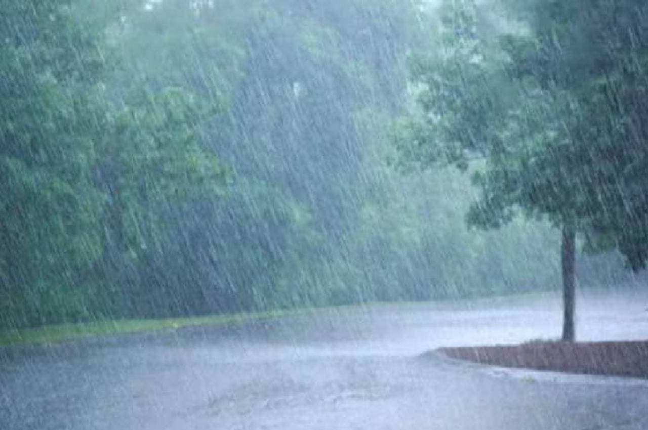 मध्य प्रदेश में जारी है झमाझम बारिश का दौर, भोपाल समेत इन जिलों में तेज पानी गिरने का अलर्ट