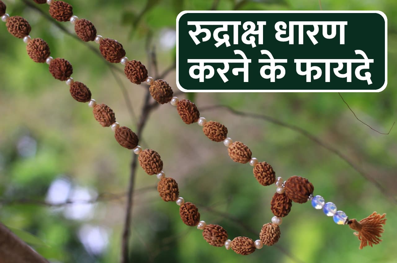 रुद्राक्ष धारण करने से होते हैं 5 गजब फायदे, इन 4 नियमों का भी ध्यान रखना जरूरी