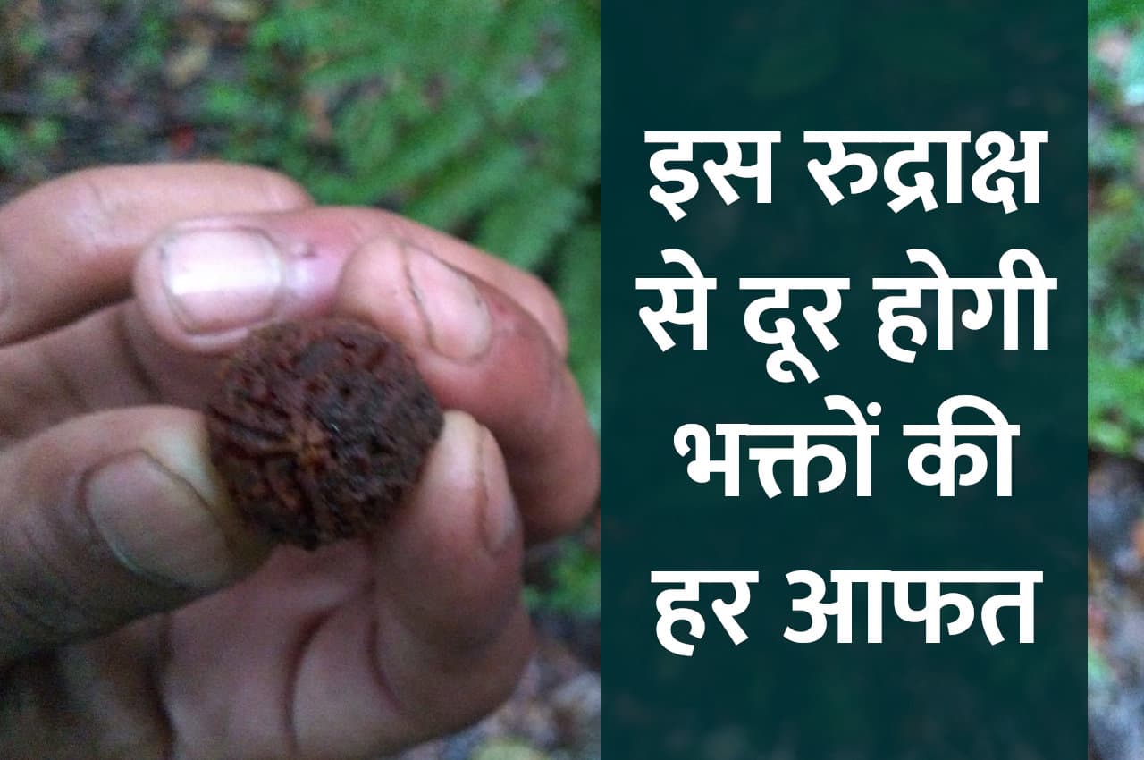 शुभ मुहूर्त में धारण करें यह रुद्राक्ष, मिलेगा भगवान शिव का आशीर्वाद