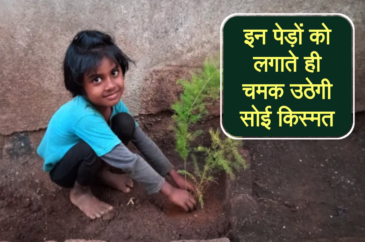 tree importance in jyotish jyotish tips, astrology, dharma karma, vastu tips