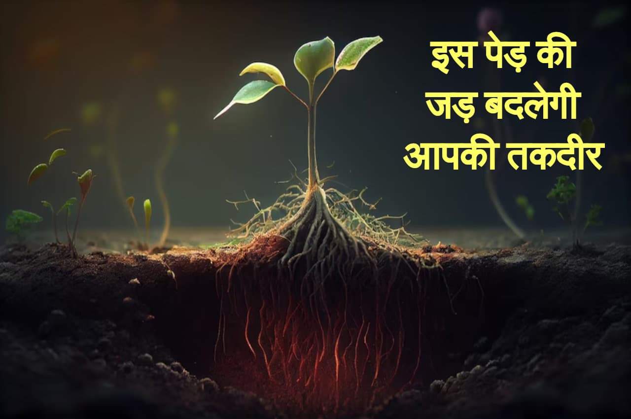 Kaalchakra, kaalchakra today, Pandit Suresh Pandey, Jyotish tips,