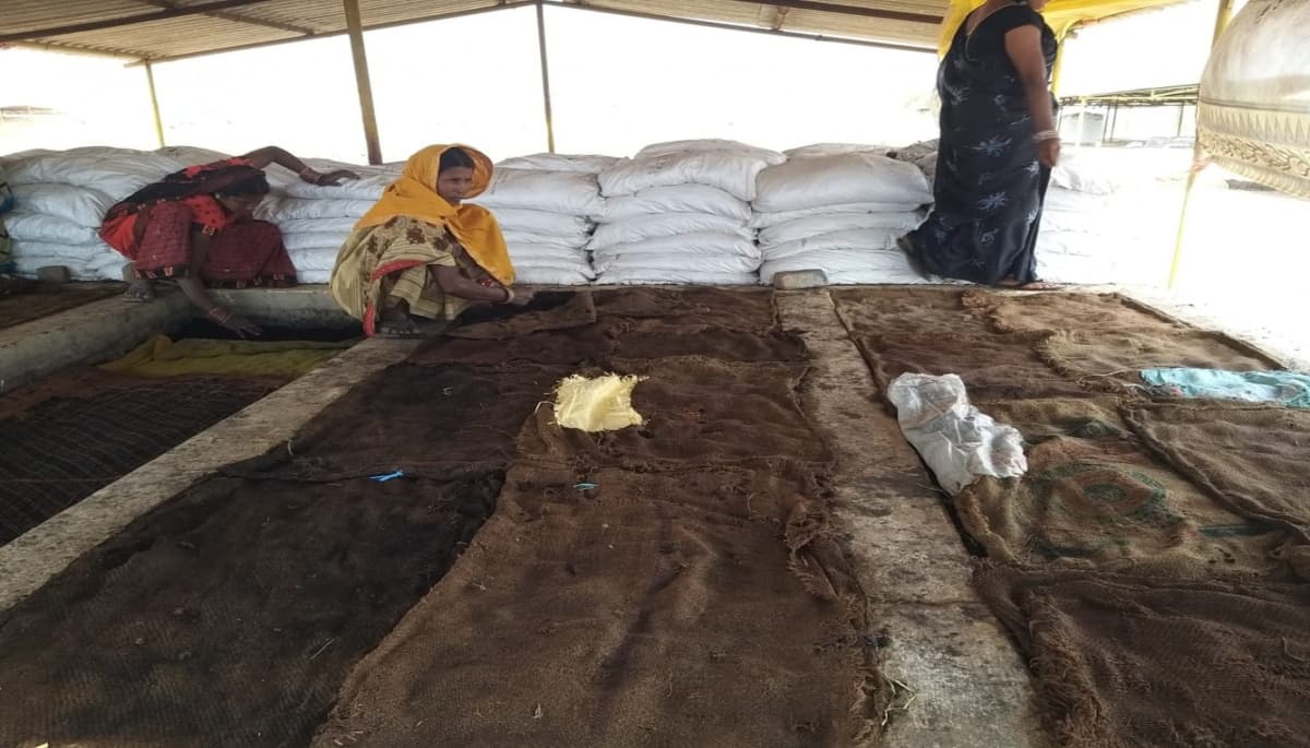 गोधन न्याय योजना प्रदेशवासियों के लिए साबित हो रही वरदान, अतिरिक्त आय के साथ जैविक कृषि को मिला बढ़ावा