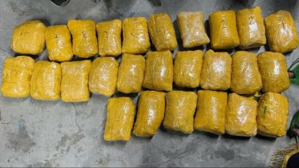 जान की परवाह भी नहीं करते पाकिस्तानी तस्कर; हेरोइन की 29 KG के साथ BSF ने 2 धरे, तैरकर आ रहे थे दोनों