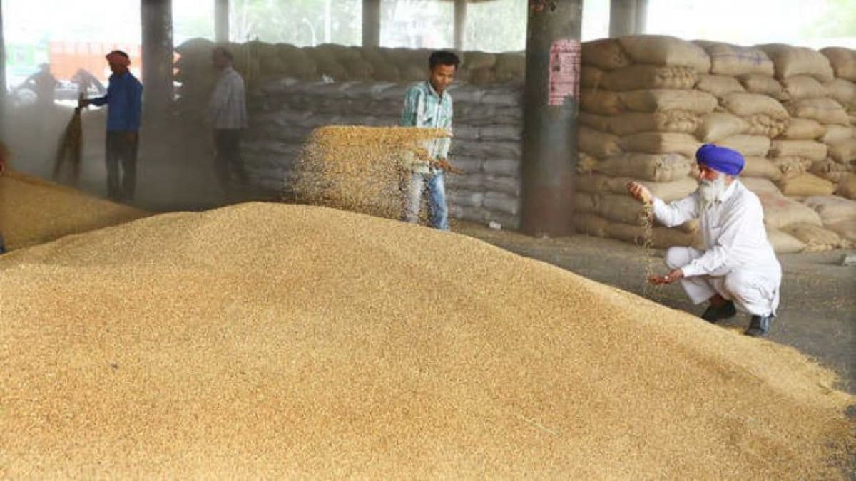 Crops Rate: पंजाब सरकार ने केंद्र तक पहुंचाई किसानों की आवाज, MSP को लेकर दिए ये सुझाव