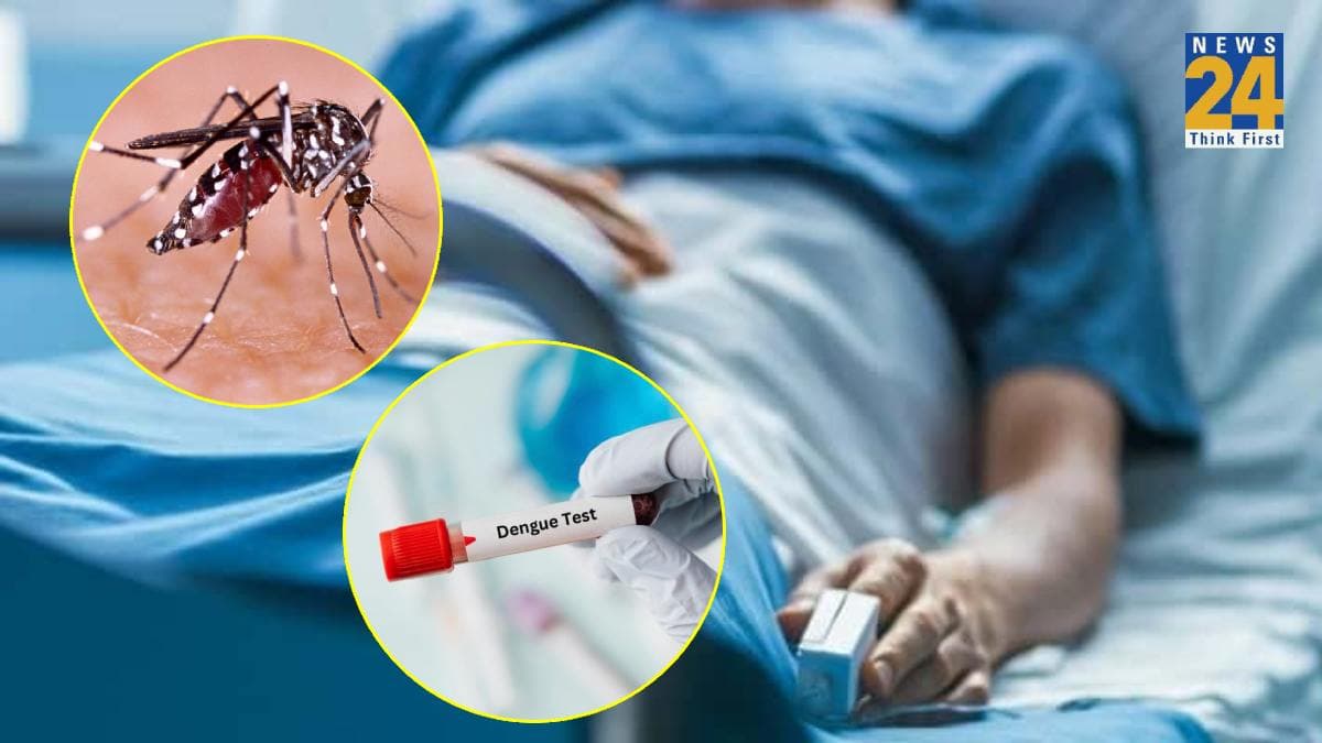 डेंगू के मरीजों की बढ़ने लगी संख्या, मलेरिया ने भी पसारे पैर, बचाव के लिए रखें इन बातों का ध्यान