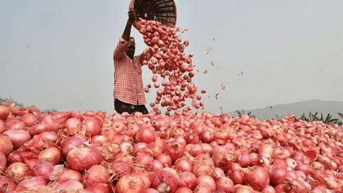 कन्फर्म हो गया आज, महंगा होने वाला था प्याज, मोदी सरकार ने दाम कंट्रोल करने को उठाया बड़ा कदम