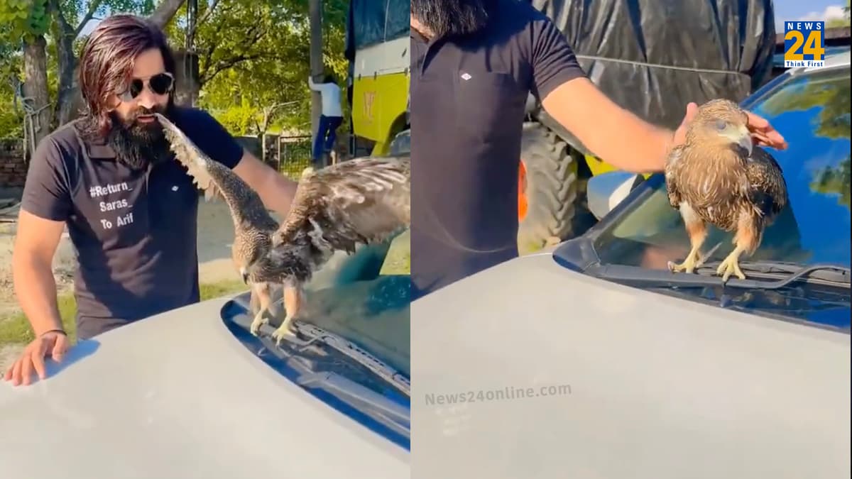Viral Video: 'सारस' के बाद आरिफ को मिला नया दोस्त, सोशल मीडिया पर फिर से छाई ये पोस्ट